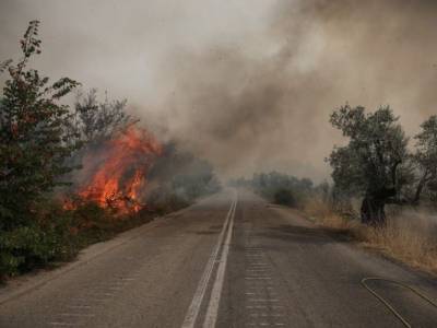 Πυρκαγιές: Επεκτείνεται η πλατφόρμα arogi.gov.gr και για τους πληγέντες
