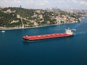 Diana Shipping Inc. Announces Time Charter Contract for m/v Los Angeles With Koch