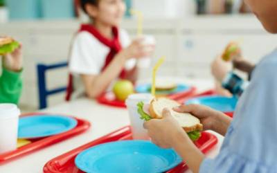 Σχολικά γεύματα: Ξεκινάει η διανομή το πρώτο 15μερο του Οκτωβρίου