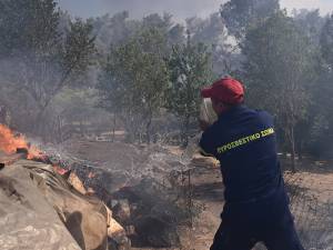 Μέγαλο πύρινο μέτωπο στη Σταμάτα - Εκκενώνονται Αμυγδαλέζα, Γαλήνη, Ροδόπολη