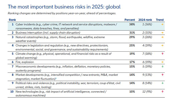 allianz risk pinakaki